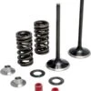 OEM Fit Intake Valve Kit 61 YZ450F 2010-2013