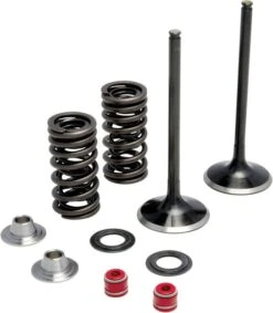 OEM Fit Intake Valve Kit 61 YZ450F 2010-2013